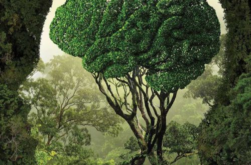 mối quan hệ cây xanh và con người
